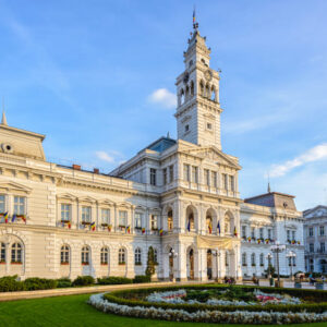 Masaj medical terapeutic Arad 28 - 29 Martie 2026 Achitare 100%